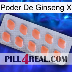 Ginseng Power X 26